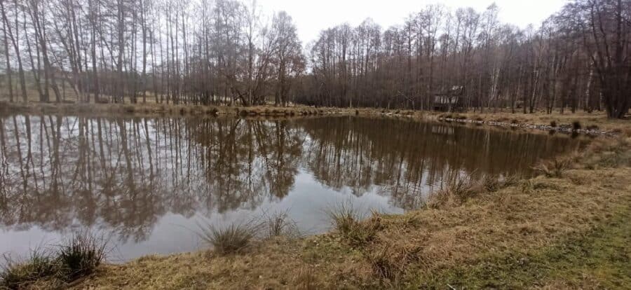 Waldrevier mit anerkanntem Wild- und Damwild Gehege (12 ha) - Teich